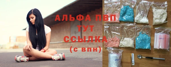 стафф Сосновоборск