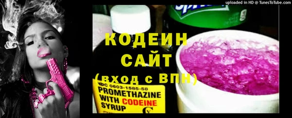 соль ск Сосновка