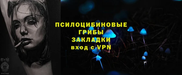 соль ск Сосновка