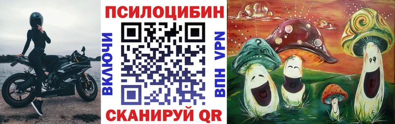 Псилоцибиновые грибы Magic Shrooms  Стерлитамак 